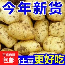 山东 新鲜黄心黄肉土豆 2斤 中大果0.49元