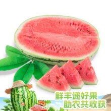 鲜丰水果 【沙瓤】A级压砂瓜约5斤-05060-1