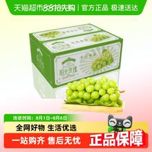 88VIP会员：PANZHIHUA FRUIT 阳光玫瑰2.7-3斤 单果8-10g