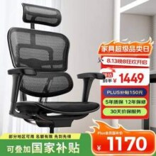 Ergonor 保友 金豪B 2代 人体工学椅