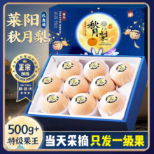 果领队 正宗山东秋月梨5斤【手选商超大果300g+净4.5斤13.6元（需领券）