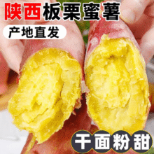 康田汇 陕西板栗红薯蜜薯当季新鲜蔬菜生鲜自然熟地瓜番薯果蔬整箱 5斤【粉糯香甜】拇指红薯净重4.5斤 新鲜15.9元 (满16减2,券后省5,月销1w+)