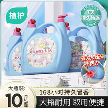 有券的上：植护 香水洗衣液 持久留香 5KG家用大桶整箱装 香氛深层洁净 花园秘境券后29.9元