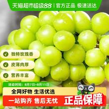88VIP会员：PANZHIHUA FRUIT 阳光玫瑰 中大果 净重2.7-3斤