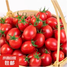 京喜加 冰糖水果小番茄 高山圣女果 2斤 净重券后3.99元