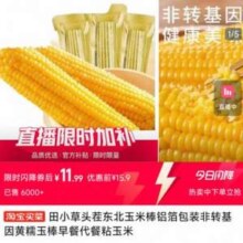 田小草 头茬东北玉米棒 黄糯玉米250克*8根