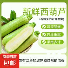 京喜 山东农家自种新鲜西葫芦 2斤±50g