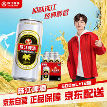 珠江啤酒 超值！国产啤酒 12°P珠江啤酒 500mL 12罐