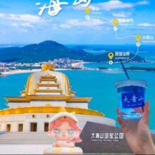 美团 【亲子游舟山】大青山景区2大1小票+欢喜海度假酒店原价2276.00元 现价839元