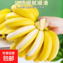 正宗广西百色自然熟香蕉新鲜水果旺达口感香甜青蕉发货皮薄好吃 田东香蕉4.5斤（净重） 青皮发货15.8元 (每满300减30,券后省0.8,月销4000+)