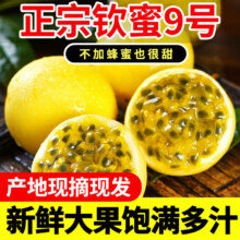 正宗广西钦蜜9号黄金百香果 30g以下小果/20粒装3.9元