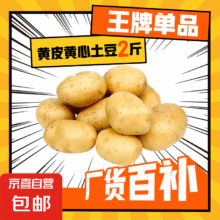 京喜加新鲜黄心土豆农家自种黄皮马铃薯黄心洋芋新鲜蔬菜 2斤
