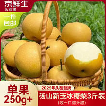 京鲜生 安徽砀山新玉冰糖梨 3斤装 单果250g+ 生鲜水果源头直发6.58元
