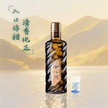 金汾河 丝路传奇 53度清香型白酒500mL
