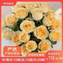 某东鲜花 昆明基地玫瑰花 20枝