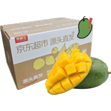 京鲜生 攀枝花凯特芒果 净重4.5斤 单果300g+ 生鲜水果源头直发9.9元