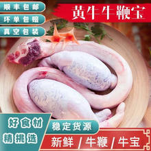 小雀虎 牛三宝 牛鞭 一套 3.2斤