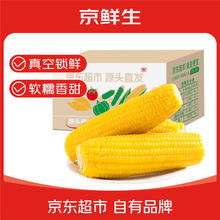 绿鲜知 京鲜生东北黄糯玉米棒200g×8根 甜黏玉米 多种包装随机发货 源头直发券后11.9元