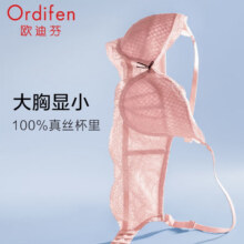 Ordifen 欧迪芬 Grace系列 100%桑蚕丝内里法式蕾丝文胸*2件 XB2317C史低59元包邮（29.5元/件）