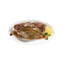 预售：拾鲜生 舟山海捕特大梭子蟹 7-9两/只 5-7只 净重2.5KG