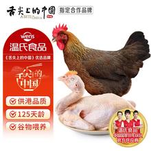 温氏 供港清远麻鸡1kg