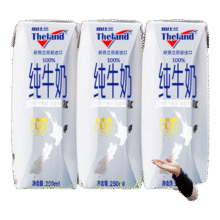 纽仕兰 全脂 纯牛奶 4.0g蛋白 250ml 3盒