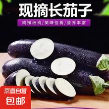 京喜 寿光农家紫茄子紫茄新鲜现摘 绿把茄子 5斤