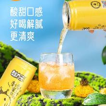 ≥30%刺梨果汁含量！刺力王 刺梨汁果汁饮料 245ml*12罐￥35.16