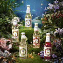TEMPT 诱惑 西打果酒 330ml*5瓶装 赠冰箱贴+手机支架