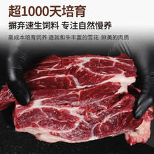 真牛馆澳洲谷饲和牛原切牛腱子肉1kg 减脂生鲜牛肉 0添加