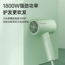 飞科 护发电吹风 便携低噪音 大功率吹风筒 飞科博锐PH1623券后30.5元