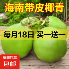 海南新鲜带皮青椰子汁水多孕妇补羊水椰青现摘现发 带皮椰子1个装 【冰镇口感更佳】买一送一实付9.9元