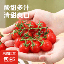 超级爆炸无敌圣女果 带箱5斤8.8元