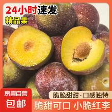 京喜 四川小脆红李 青红脆李 15g/单果 带箱2斤