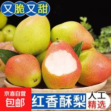 京喜 喜田 国产红啤梨 1.75kg 带箱2.49元