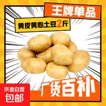 京喜加 新鲜黄心土豆农家自种黄皮马铃薯黄心洋芋新鲜蔬菜 2斤0.99元