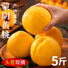 春福乐 山东蒙阴黄桃 净重4.5-5斤丨甄选单果100g+