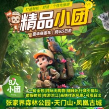 美团【8人拼小团.错峰出行少排队】张家界天门山·国家森林公园·凤凰古城纯玩五天四晚 ·观日出·苗服换装