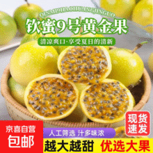 广西钦蜜9号黄金百香果万澄当季新鲜大果黄皮果奶茶店水果 【中果5斤】约35-40个36.7元 (每满300减30,券后省0.8,月销2000+)