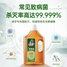 消字号认证！Seaways 水卫士 消毒液1L*2瓶