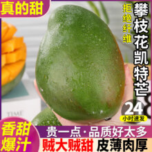粤迎攀枝花凯特芒当应季新鲜水果超甜芒果水果四川应季现摘时令生鲜 净4.5-5斤精选果【单果350g+】10.79元