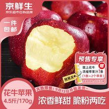京鲜生 天水花牛苹果又大又红 净重4.5斤 单枚170g+ 源头直发券后19.89元