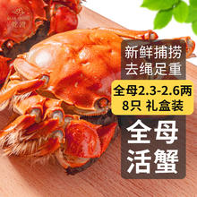 乾澄 活蟹 乾澄大闸蟹现货 全母2.3-2.6两 8只143元