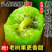 粤迎陕西绿心猕猴桃 5斤精选果【香甜爆汁】净4.5斤11.99元（需领券）