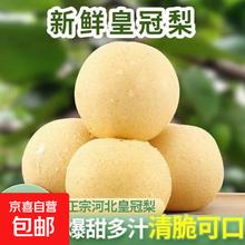 河北深县皇冠梨 0.75kg 2斤装2元
