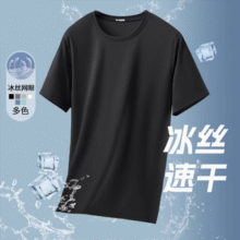 夏季冰丝短袖T恤 1件3.99元（需领券）
