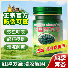 玉菩药堂 金卧佛牌泰国青草膏蚊虫叮咬驱蚊皮肤瘙痒晕车清凉紫草膏配方