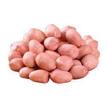 现剥新白沙花生米 精选大粒 特惠装 200g
