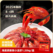 海底捞 麻辣小龙虾1.25kg中虾4-6钱