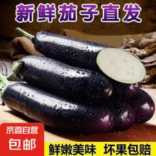 京喜 山东新鲜绿把紫皮长茄现摘现发新鲜嫩茄新鲜时令蔬菜生鲜 新鲜绿把紫茄 2斤 带箱
